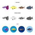 Botia, clown, piranha, cichlid, hummingbird, guppy,Fish set collection icons in cartoon,flat,monochrome style vector