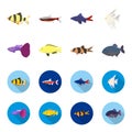 Botia, clown, piranha, cichlid, hummingbird, guppy,Fish set collection icons in cartoon,flat style vector symbol stock