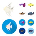 Botia, clown, piranha, cichlid, hummingbird, guppy,Fish set collection icons in cartoon,flat style vector symbol stock