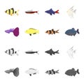 Botia, clown, piranha, cichlid, hummingbird, guppy,Fish set collection icons in cartoon,monochrome style vector symbol