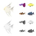 Botia, clown, piranha, cichlid, hummingbird, guppy,Fish set collection icons in cartoon,monochrome style vector symbol