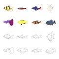 Botia, clown, piranha, cichlid, hummingbird, guppy,Fish set collection icons in cartoon,outline style vector symbol