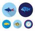 Botia, clown, piranha, cichlid, hummingbird, guppy,Fish set collection icons in flat style vector symbol stock