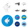 Botia, clown, piranha, cichlid, hummingbird, guppy,Fish set collection icons in monochrome,flat style vector symbol