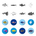 Botia, clown, piranha, cichlid, hummingbird, guppy,Fish set collection icons in monochrome,flat style vector symbol