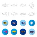 Botia, clown, piranha, cichlid, hummingbird, guppy,Fish set collection icons in outline,flat style vector symbol stock