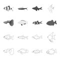 Botia, clown, piranha, cichlid, hummingbird, guppy,Fish set collection icons in outline,monochrome style vector symbol