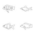 Botia, clown, piranha, cichlid, hummingbird, guppy,Fish set collection icons in outline style vector symbol stock