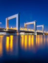 Botlek bridge, Rotterdam, Netherlands. View of the bridge at night. Road for cars and railroad transport. Royalty Free Stock Photo