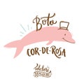 Boto Cor-De-Rosa. Pink Dolphin. Fantastic Creature of Brazilian Folklore.