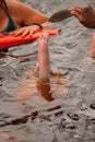 Boto Amazon River Dolphin. Amazon river, Amazonas, Brazil Royalty Free Stock Photo