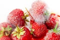 Strawberry with mold Royalty Free Stock Photo