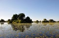 Botswana: Okavango-Delta swamps cruise in the Kal Royalty Free Stock Photo