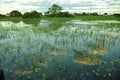 Botswana: Boattrip at sunset in the Okavango-Delta-swamps.