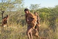 Botswana bushmen Royalty Free Stock Photo