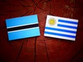 Botswana flag with Uruguaian flag on a tree stump isolated Royalty Free Stock Photo
