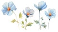 Botswana Flowers Collection: Watercolor Painting on a Clean White Background with Sharp Lines .