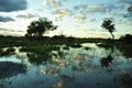 Botswana: Okavango Delta Cruise at sunset