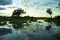Botswana: Sunset in the Okavango-Delta-swamps