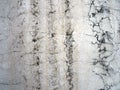 Botticino marble Royalty Free Stock Photo