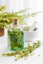 Bottle of absent or tincture of tarragon and healing herbs Royalty Free Stock Photo