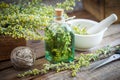 Bottle of absent or tincture of tarragon healthy herbs Royalty Free Stock Photo