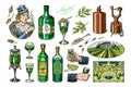 Bottle of Absinthe Glass shot. Woman holding a toast drink. Pot Swan necked copper stills distillery for making alcohol Royalty Free Stock Photo