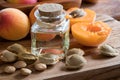 A bottle of apricot kernel oil with apricot kernels and apricots Royalty Free Stock Photo