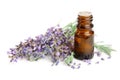 Bottle with aroma oil and lavender flowers isolated on white background Royalty Free Stock Photo