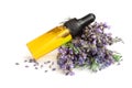 Bottle with aroma oil and lavender flowers isolated on white background Royalty Free Stock Photo