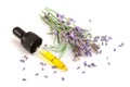 Bottle with aroma oil and lavender flowers isolated on white background Royalty Free Stock Photo