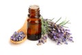 Bottle with aroma oil and lavender flowers isolated on white background Royalty Free Stock Photo