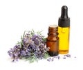 Bottle with aroma oil and lavender flowers isolated on white background Royalty Free Stock Photo