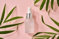 A bottle of aromatherapy essential oil bottle with palm leaves on pastel background Royalty Free Stock Photo