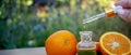 bottle of aromatic essence and fresh orange on the background of nature. Royalty Free Stock Photo