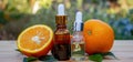 bottle of aromatic essence and fresh orange on the background of nature. Royalty Free Stock Photo