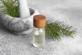 Bottle of aromatic essential oil and mortar with pine branch on light grey table, closeup