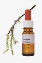 Bottle with Bach Flower Stock Remedy, Aspen (Populus)