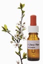 Bottle with Bach Flower Stock Remedy, Cherry Plum(Prunus cerasifera) Royalty Free Stock Photo