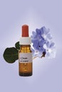 Bottle with Bach Flower Stock Remedy, Leadwort (Ceratostigma)