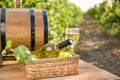 Bottle and barrel of white wine with ripe grapes on table in vineyard Royalty Free Stock Photo