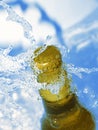 Bottle of beer Royalty Free Stock Photo