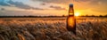 Bottle with beer against wheat field on sunset. Field of barley on summer or autumn day. Brewing Royalty Free Stock Photo