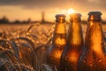 Bottle with beer against wheat field on sunset. Field of barley on summer or autumn day. Brewing Royalty Free Stock Photo