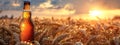 Bottle with beer against wheat field on sunset. Field of barley on summer or autumn day. Brewing Royalty Free Stock Photo