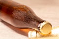 A bottle of beer amber lying with its capsule Royalty Free Stock Photo