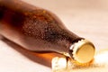 A bottle of beer amber lying with its capsule Royalty Free Stock Photo