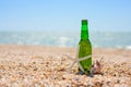 A bottle of beer on the beach with a seashell and a starfish. Royalty Free Stock Photo