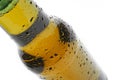 Bottle of beer closeup Royalty Free Stock Photo