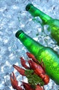 Bottle of beer with crayfish in ice cubes.Closeup.Green bottle.Hot Summer fresh drink.Copy space Royalty Free Stock Photo